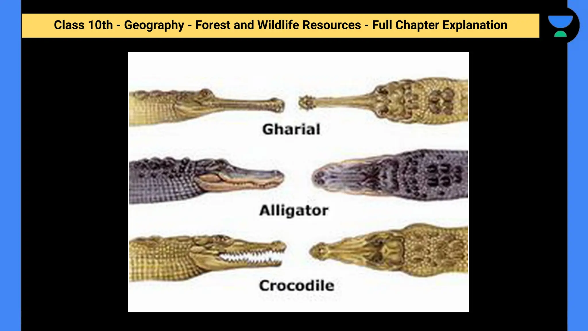 Class 10th - Geography - Forest and Wildlife Resources - Full Chapter Explanation
 