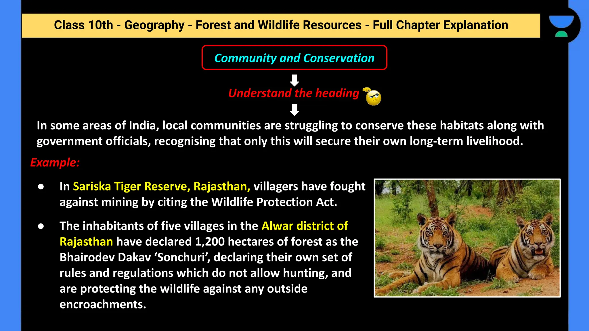 Class 10th - Geography - Forest and Wildlife Resources - Full Chapter Explanation
Community and Conservation
Understand the heading
In some areas of India, local communities are struggling to conserve these habitats along with
government officials, recognising that only this will secure their own long-term livelihood.
Example:
● In Sariska Tiger Reserve, Rajasthan, villagers have fought
against mining by citing the Wildlife Protection Act.
● The inhabitants of five villages in the Alwar district of
Rajasthan have declared 1,200 hectares of forest as the
Bhairodev Dakav ‘Sonchuri’, declaring their own set of
rules and regulations which do not allow hunting, and
are protecting the wildlife against any outside
encroachments.
 