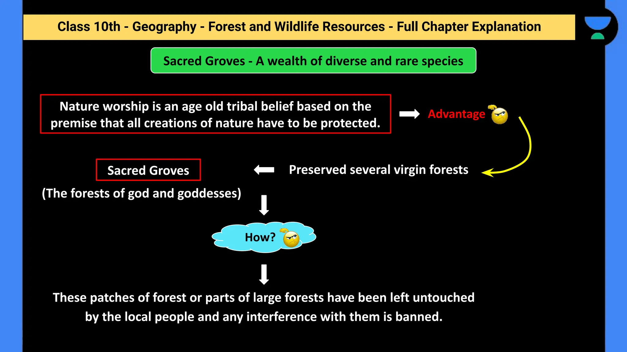Class 10th - Geography - Forest and Wildlife Resources - Full Chapter Explanation
Advantage
(The forests of god and goddesses)
Sacred Groves - A wealth of diverse and rare species
Nature worship is an age old tribal belief based on the
premise that all creations of nature have to be protected.
Sacred Groves Preserved several virgin forests
How?
These patches of forest or parts of large forests have been left untouched
by the local people and any interference with them is banned.
 