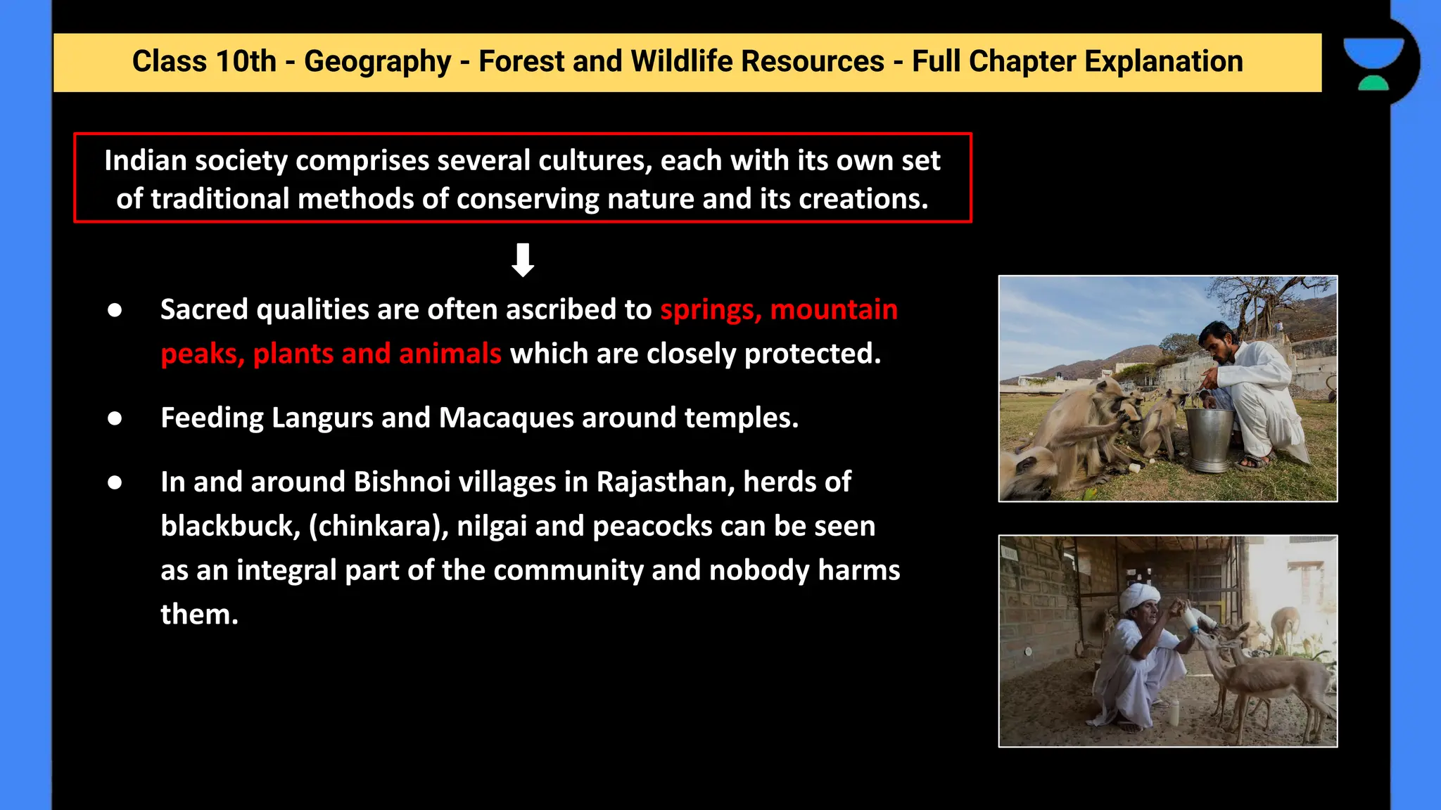 Class 10th - Geography - Forest and Wildlife Resources - Full Chapter Explanation
Indian society comprises several cultures, each with its own set
of traditional methods of conserving nature and its creations.
● Sacred qualities are often ascribed to springs, mountain
peaks, plants and animals which are closely protected.
● Feeding Langurs and Macaques around temples.
● In and around Bishnoi villages in Rajasthan, herds of
blackbuck, (chinkara), nilgai and peacocks can be seen
as an integral part of the community and nobody harms
them.
 