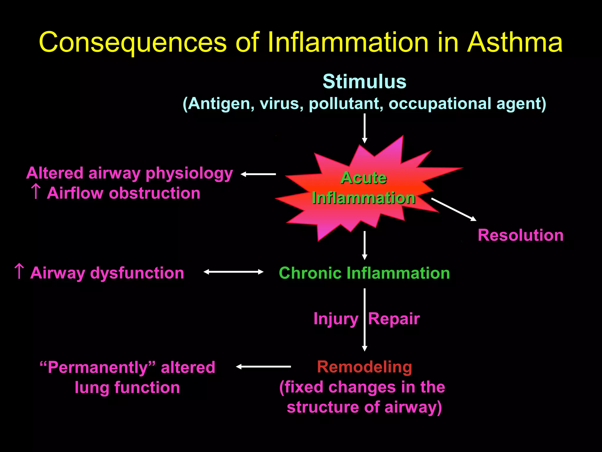 Consequences of Inflammation in Asthma
StimulusStimulus
(Antigen, virus, pollutant, occupational agent)(Antigen, virus, pollutant, occupational agent)
AcuteAcute
InflammationInflammation
ResolutionResolution
Chronic InflammationChronic Inflammation
RemodelingRemodeling
(fixed changes in the(fixed changes in the
structure of airway)structure of airway)
Injury RepairInjury Repair
↑↑ Airway dysfunctionAirway dysfunction
““Permanently” alteredPermanently” altered
lung functionlung function
Altered airway physiologyAltered airway physiology
↑↑ Airflow obstructionAirflow obstruction
 