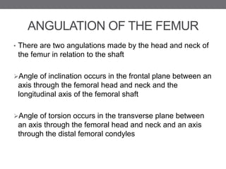 Inclination Rotation Angulation 67biomechanicsofhipjointvikram-170214154450.pptx