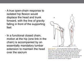 67biomechanicsofhipjointvikram-170214154450.pptx