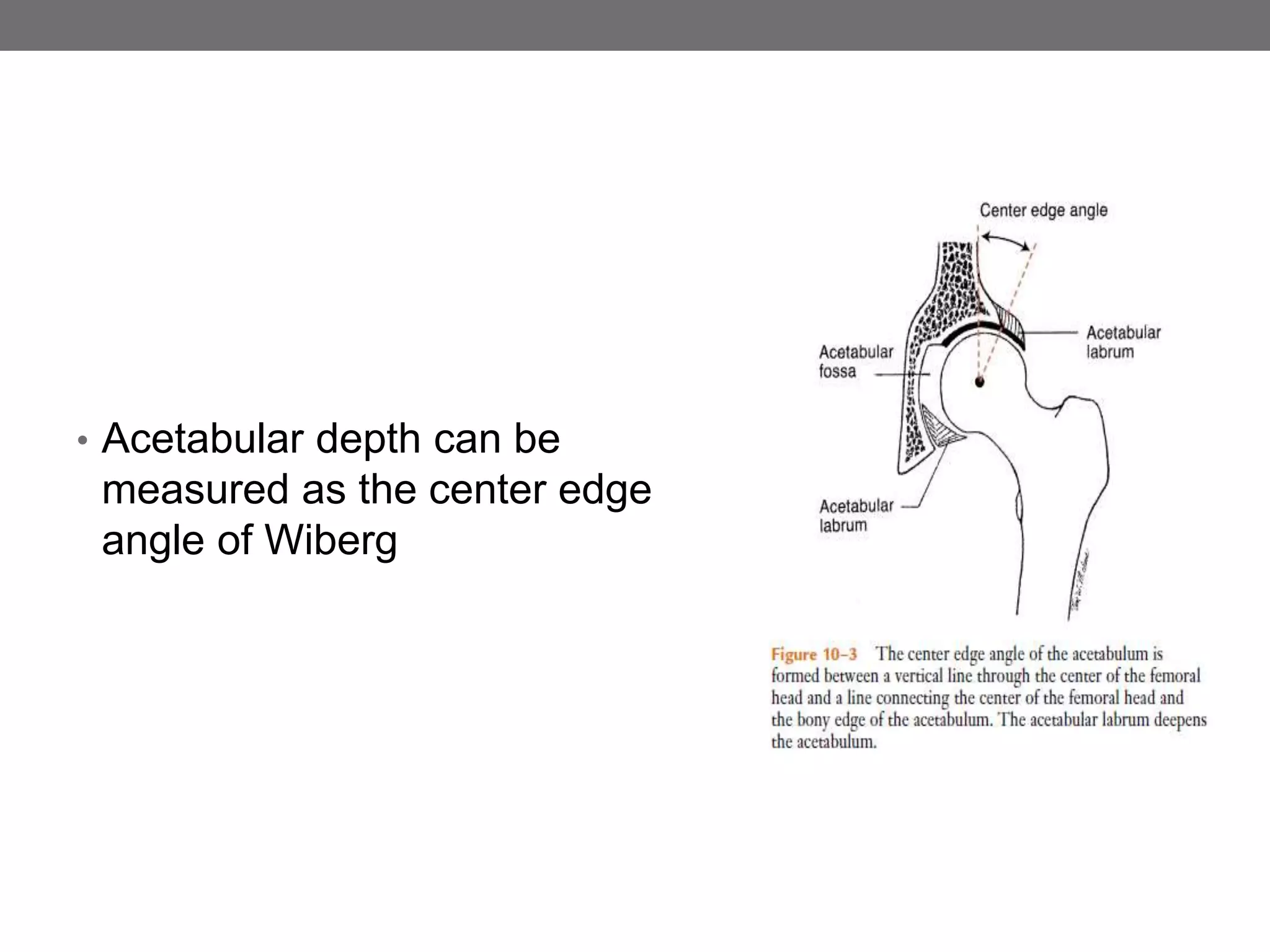 BIOMECHANICS OF HIP JOINT BY Dr. VIKRAM | PPTX