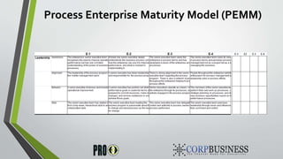 Process Enterprise Maturity Model (PEMM)
 