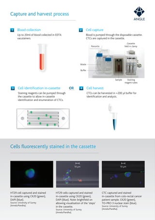 Angle brochure | PDF