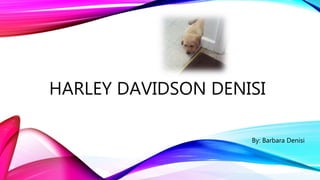 HARLEY DAVIDSON DENISI
By: Barbara Denisi
 