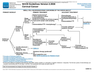 cervical cancer treatment guideline updates | PDF