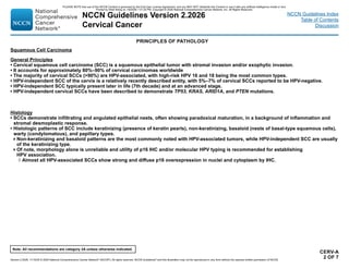 cervical cancer treatment guideline updates | PDF
