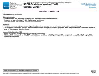 cervical cancer treatment guideline updates | PDF