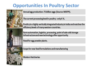 Opportunities In Poultry Sector
 