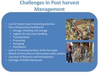 Challenges In Post harvest
Management
• Lack of modern post-harvesting practices
• Poor infrastructure facilities for
• Storage, including cold storage
• Logistics & cold chain handling
• Transportation
• Processing
• Packaging
• Distribution
• Lack of Processing facilities at the farm gate
• Dearth of Innovative on-farm preservation systems
• Low level of Research and Development
• Shortage of Skilled Manpower
 