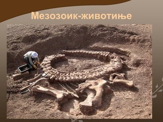 Мезозоик-животиње

 
