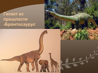 Гигант из
прошлости
-Бронтосаурус

 