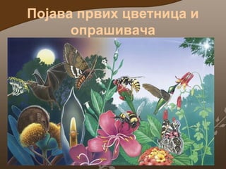 Појава првих цветница и
опрашивача

 