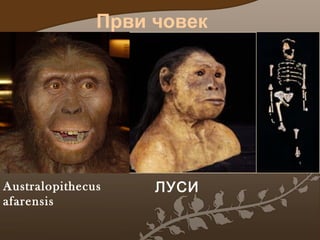 Први човек

Australopithecus
afarensis

ЛУСИ

 
