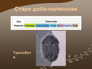 Старо доба-палеозоик

Трилобит
и

 