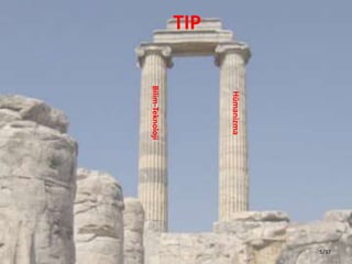 Bilim-Teknoloji
Hmanizma
TIP
5/37
 