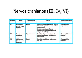Nervos cranianos (III, IV, VI)
Número

Nome

Componentes

Função

Abertura no cranio

III

Oculomotor
(Motor ocular
comum)

Motor

Levanta a palpebra superior, roda o
globo ocular para cima, para baixo e
medialmente.
Contrai a pupila , auxilia na
acomodação (parassimpatico - N.
Edinger Westphal ).

Fissura orbital
superior

IV

Troclear
(patético)

Motor

Músculo obliquo superior, ajuda a
rodar o globo ocular para baixo e
lateralmente

Fissura orbital
superior

VI

Abducente
(motor ocular
externo)

Motor

Músculo recto lateral, roda o olho
para fora

Fissura orbital
superior

 