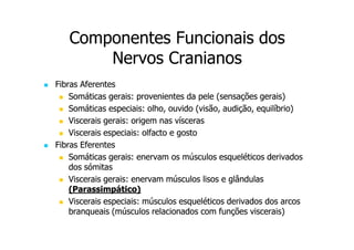 Componentes Funcionais dos
Nervos Cranianos
Fibras Aferentes
Somáticas gerais: provenientes da pele (sensações gerais)
Somáticas especiais: olho, ouvido (visão, audição, equilíbrio)
Viscerais gerais: origem nas vísceras
Viscerais especiais: olfacto e gosto
Fibras Eferentes
Somáticas gerais: enervam os músculos esqueléticos derivados
dos sómitas
Viscerais gerais: enervam músculos lisos e glândulas
(Parassimpático)
Viscerais especiais: músculos esqueléticos derivados dos arcos
branqueais (músculos relacionados com funções viscerais)

 