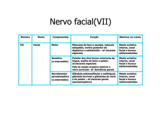 Nervo facial(VII)
Número
VII

Nome
Facial

Componentes

Função

Abertura no cranio

Motor

Músculos da face e escalpe, músculo
estapédio, ventre posterior do
digástrico e estilohioide – ef viscerais
especiais

Meato acústico
interno, canal
facial e buraco
estilomastoideu

Sensitivo
(n.intermédio)

Paladar dos dois terços anteriores da
lingua, soalho da boca e palato af.viscerais especiais
Pele do meato acústico externo e
retro-auricularretro-auricular- af. Somáticas gerais

Meato acústico
interno, canal
facial e buraco
estilomastoideu

Secretomotor
parassimpático
(n.intermédio)

Glândula submandibular e sublingual,
glândula lacrimal e glândulas do nariz
e do palato – ef.viscerais gerais
(parassimpático)

Meato acústico
interno, canal
facial e buraco
estilomastoideu

 