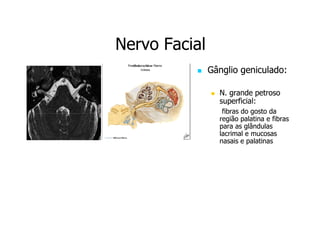 Nervo Facial
Gânglio geniculado:
N. grande petroso
superficial:
fibras do gosto da
região palatina e fibras
para as glândulas
lacrimal e mucosas
nasais e palatinas

 