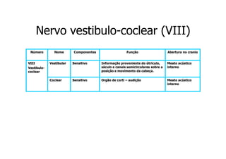 Nervo vestibulo-coclear (VIII)
vestibuloNúmero
VIII
VestibuloVestibulococlear

Nome

Componentes

Função

Abertura no cranio

Vestibular

Sensitivo

Informação proveniente do útriculo,
sáculo e canais semicirculares sobre a
posição e movimento da cabeça.

Meato acústico
interno

Coclear

Sensitivo

Orgão de corti – audição

Meato acústico
interno

 