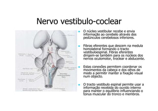 Nervo vestibulo-coclear
vestibuloO núcleo vestibular recebe e envia
informação ao cerebelo através dos
pedúnculos cerebelosos inferiores.
Fibras eferentes que descem na medula
homolateral formando o tracto
vestibuloespinal. Fibras eferentes
dirigemdirigem-se também para os núcleos dos
nervos oculomotor, troclear e abducente.
Estas conexões permitem coordenar os
movimentos da cabeça e dos olhos de
modo a permitir manter a fixação visual
num objecto.
O tracto vestibulo espinal permite usar a
informação recebida do ouvido interno
para manter o equilíbrio influenciando o
tonus muscular do tronco e membros.

 
