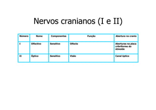 Nervos cranianos (I e II)
Número

Nome

Componentes

Função

Abertura no cranio

I

Olfactivo

Sensitivo

Olfacto

Aberturas na placa
cribriforme do
etmoide

II

Óptico

Sensitivo

Visão

Canal óptico

 