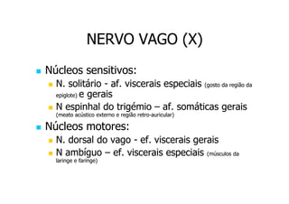 NERVO VAGO (X)
Núcleos sensitivos:
N. solitário - af. viscerais especiais (gosto da região da
epiglote) e gerais
N espinhal do trigémio – af. somáticas gerais
(meato acústico externo e região retro-auricular)
retro-

Núcleos motores:
N. dorsal do vago - ef. viscerais gerais
N ambíguo – ef. viscerais especiais (músculos da
laringe e faringe)

 