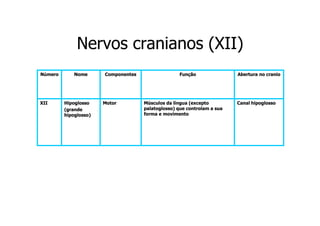 Nervos cranianos (XII)
Número

XII

Nome

Hipoglosso
(grande
hipoglosso)

Componentes

Motor

Função

Músculos da língua (excepto
palatoglosso) que controlam a sua
forma e movimento

Abertura no cranio

Canal hipoglosso

 