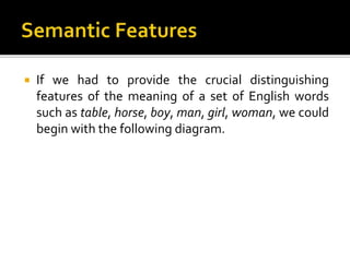  If we had to provide the crucial distinguishing
features of the meaning of a set of English words
such as table, horse, boy, man, girl, woman, we could
begin with the following diagram.
 