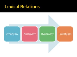 Synonymy Antonymy Hyponymy Prototypes
 