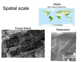 Ecosystem EcologyOverview of people and events important in the ...