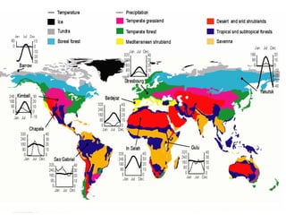 Ecosystem EcologyOverview of people and events important in the ...