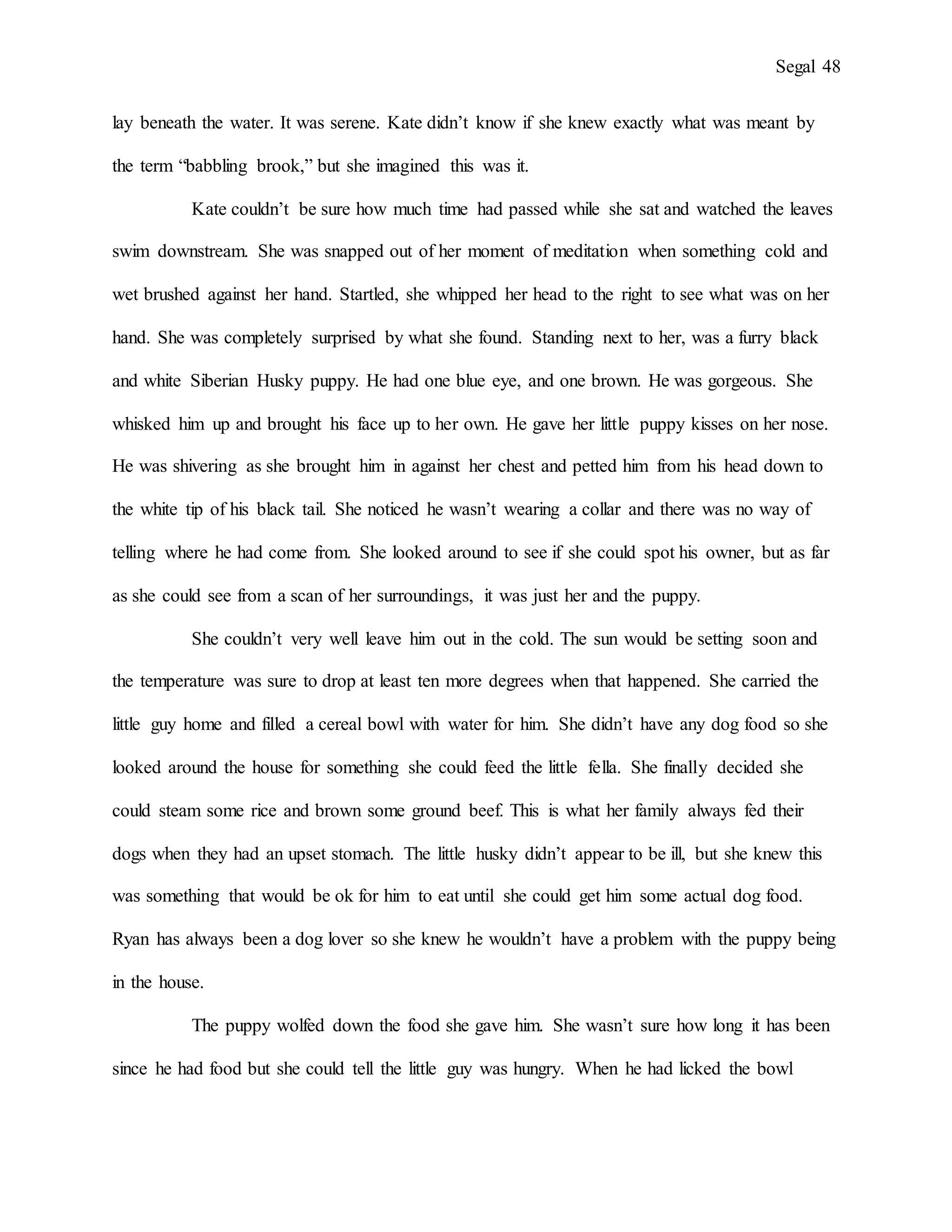 Segal 48
lay beneath the water. It was serene. Kate didn’t know if she knew exactly what was meant by
the term “babbling brook,” but she imagined this was it.
Kate couldn’t be sure how much time had passed while she sat and watched the leaves
swim downstream. She was snapped out of her moment of meditation when something cold and
wet brushed against her hand. Startled, she whipped her head to the right to see what was on her
hand. She was completely surprised by what she found. Standing next to her, was a furry black
and white Siberian Husky puppy. He had one blue eye, and one brown. He was gorgeous. She
whisked him up and brought his face up to her own. He gave her little puppy kisses on her nose.
He was shivering as she brought him in against her chest and petted him from his head down to
the white tip of his black tail. She noticed he wasn’t wearing a collar and there was no way of
telling where he had come from. She looked around to see if she could spot his owner, but as far
as she could see from a scan of her surroundings, it was just her and the puppy.
She couldn’t very well leave him out in the cold. The sun would be setting soon and
the temperature was sure to drop at least ten more degrees when that happened. She carried the
little guy home and filled a cereal bowl with water for him. She didn’t have any dog food so she
looked around the house for something she could feed the little fella. She finally decided she
could steam some rice and brown some ground beef. This is what her family always fed their
dogs when they had an upset stomach. The little husky didn’t appear to be ill, but she knew this
was something that would be ok for him to eat until she could get him some actual dog food.
Ryan has always been a dog lover so she knew he wouldn’t have a problem with the puppy being
in the house.
The puppy wolfed down the food she gave him. She wasn’t sure how long it has been
since he had food but she could tell the little guy was hungry. When he had licked the bowl
 