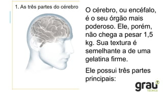 O cérebro, ou encéfalo,
é o seu órgão mais
poderoso. Ele, porém,
não chega a pesar 1,5
kg. Sua textura é
semelhante a de uma
gelatina firme.
Ele possui três partes
principais:
 