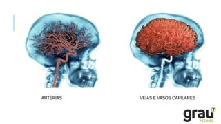 ARTÉRIAS VEIAS E VASOS CAPILARES
 