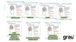 SENSAÇÕES IMAGENS SONS CHEIROS
CRIA
PENSAMENTOS
RESOLVE
PROBLEMAS
E FAZ PLANOS
FORMA E GUARDA
LEMBRANÇAS
CONTROLA
MOVIMENTOS
VOLUNTÁRIOS
 