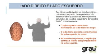 LADO DIREITO E LADO ESQUERDO
 