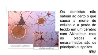 Os cientistas não
sabem ao certo o que
causa a morte de
células e a perda de
tecido em um cérebro
com Alzheimer, mas
as placas e
emaranhados são os
principais suspeitos.
 
