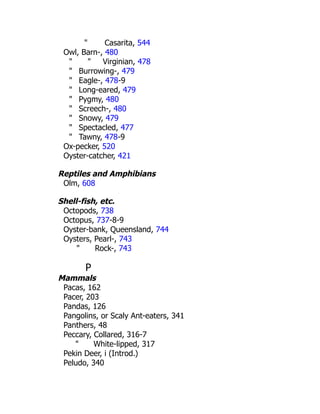 " Casarita, 544
Owl, Barn-, 480
" " Virginian, 478
" Burrowing-, 479
" Eagle-, 478-9
" Long-eared, 479
" Pygmy, 480
" Screech-, 480
" Snowy, 479
" Spectacled, 477
" Tawny, 478-9
Ox-pecker, 520
Oyster-catcher, 421
Reptiles and Amphibians
Olm, 608
Shell-fish, etc.
Octopods, 738
Octopus, 737-8-9
Oyster-bank, Queensland, 744
Oysters, Pearl-, 743
" Rock-, 743
P
Mammals
Pacas, 162
Pacer, 203
Pandas, 126
Pangolins, or Scaly Ant-eaters, 341
Panthers, 48
Peccary, Collared, 316-7
" White-lipped, 317
Pekin Deer, i (Introd.)
Peludo, 340
 