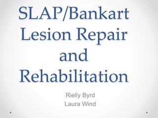 SLAP/Bankart
Lesion Repair
and
Rehabilitation
Rielly Byrd
Laura Wind
 
