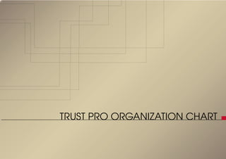 TRUST PRO ORGANIZATION CHART
 