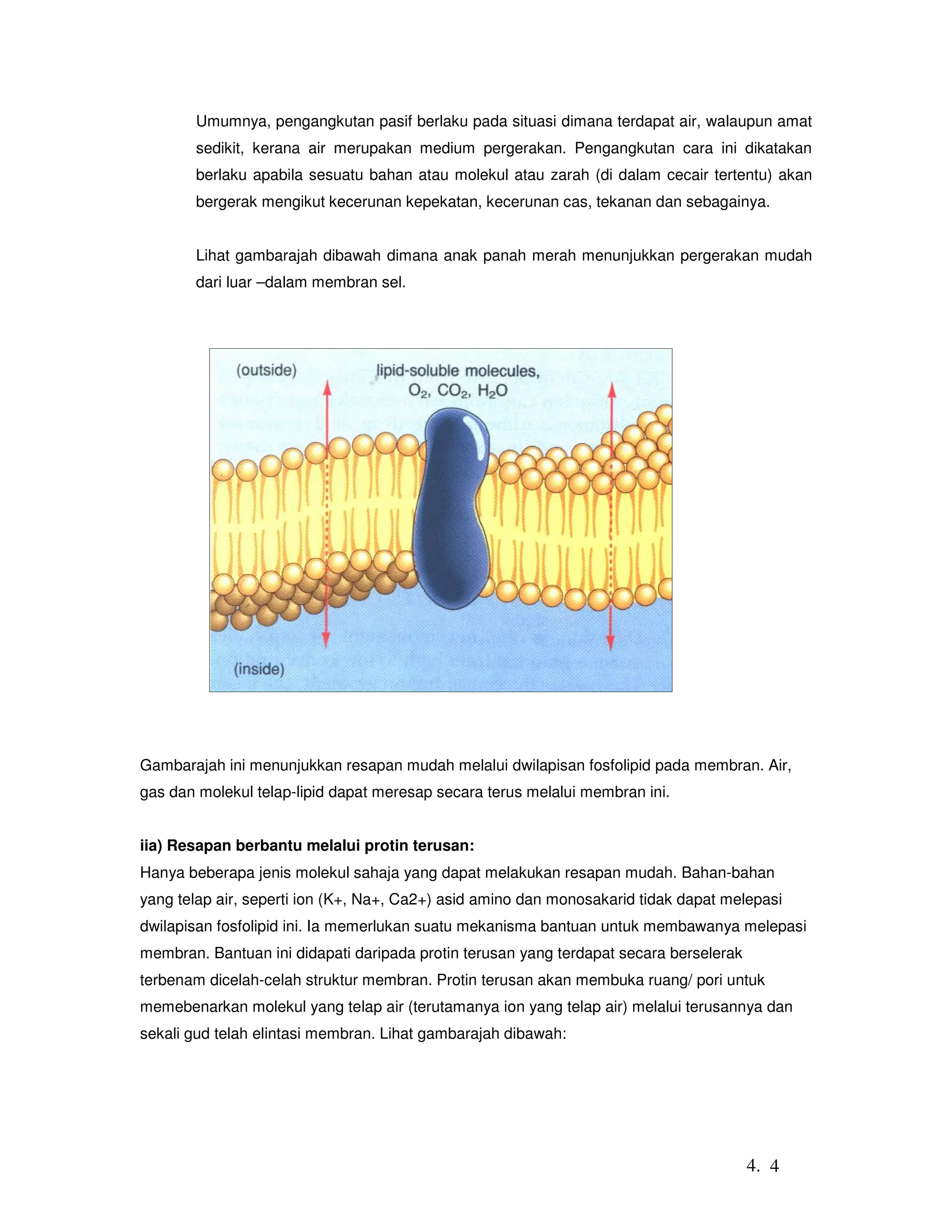 68344619 4-membran-sel-dan-pengangkutan | PDF