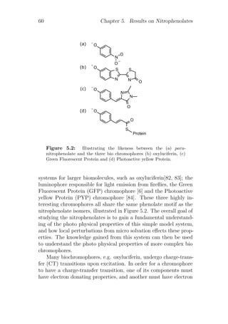 60 Chapter 5. Results on Nitrophenolates
(a)
(b)
(c)
(d)
Figure 5.2: Illustrating the likeness between the (a) para-
nitrophenolate and the three bio chromophores (b) oxyluciferin, (c)
Green Fluorescent Protein and (d) Photoactive yellow Protein.
systems for larger biomolecules, such as oxyluciferin[82, 83]; the
luminophore responsible for light emission from ﬁreﬂies, the Green
Fluorescent Protein (GFP) chromophore [6] and the Photoactive
yellow Protein (PYP) chromophore [84]. These three highly in-
teresting chromophores all share the same phenolate motif as the
nitrophenolate isomers, illustrated in Figure 5.2. The overall goal of
studying the nitrophenolates is to gain a fundamental understand-
ing of the photo physical properties of this simple model system,
and how local perturbations from micro solvation eﬀects these prop-
erties. The knowledge gained from this system can then be used
to understand the photo physical properties of more complex bio
chromophores.
Many biochromophores, e.g. oxyluciferin, undergo charge-trans-
fer (CT) transitions upon excitation. In order for a chromophore
to have a charge-transfer transition, one of its components must
have electron donating properties, and another must have electron
 