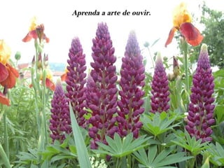 Aprenda a arte de ouvir.
 