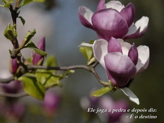 Ele joga a pedra e depois diz:
                - É o destino
 