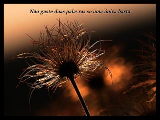 Não gaste duas palavras se uma única basta
 