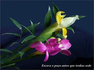 Escava o poço antes que tenhas sede
 